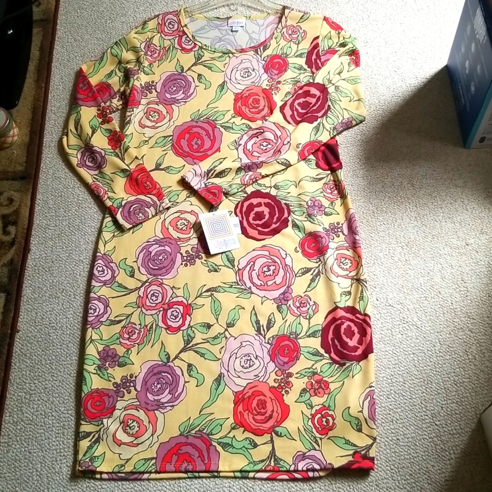 LuLaRoe Rose Print Multi Color Dress size XL